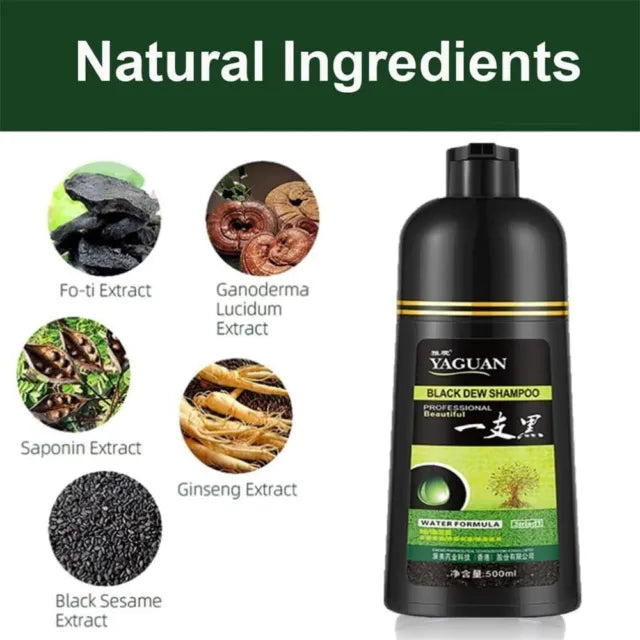 Korean Herbal Hair Color Shampoo Permanent Color 500ml