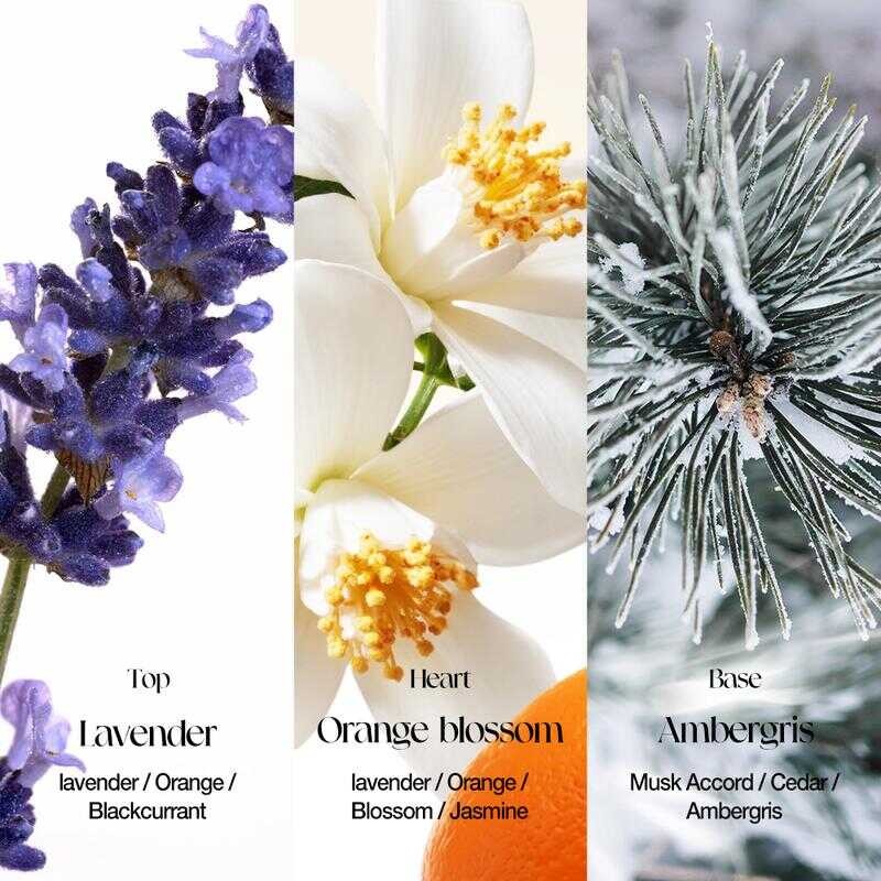 O.Two.O WONDERLAND GARDEN PARFUM (Round Bottle Series )Long-Lasting Fragrance Soft Not Pungent
