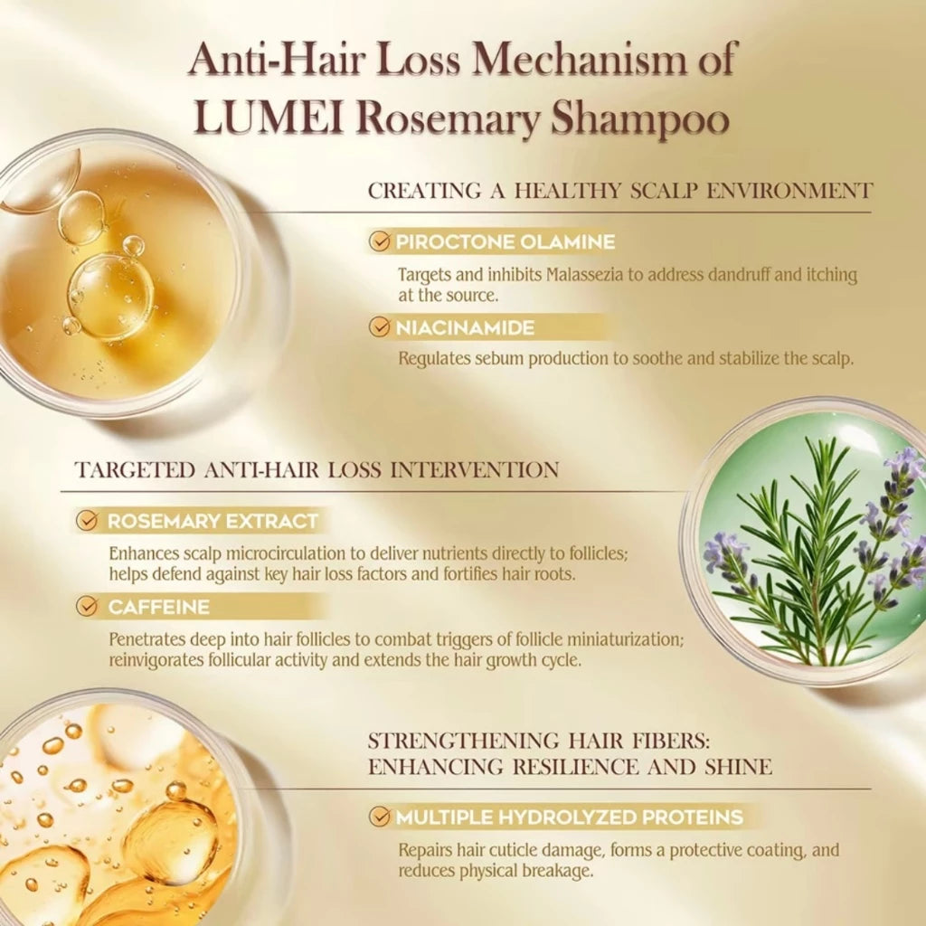 LUMEI ROSEMARY INFUSED SHAMPOO & CONDITIONER HAIR REGROWTH OIL CONTROL ANTI HAIR FRIZZ