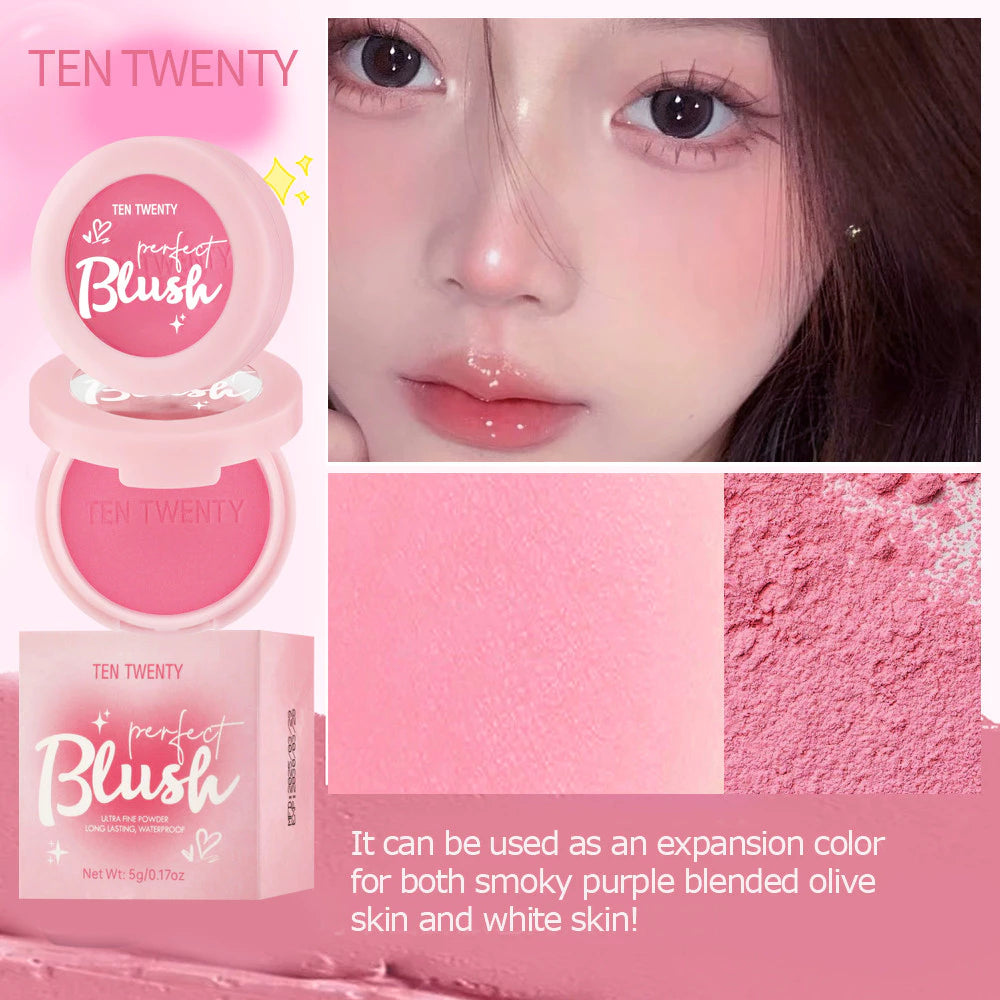 TEN TWENTY Waterproof Blush Powder Natural Pigmented Matte Highlight Brighten Contour Nude Cosmetics